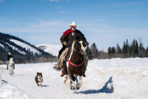 person on a horse with a dog following