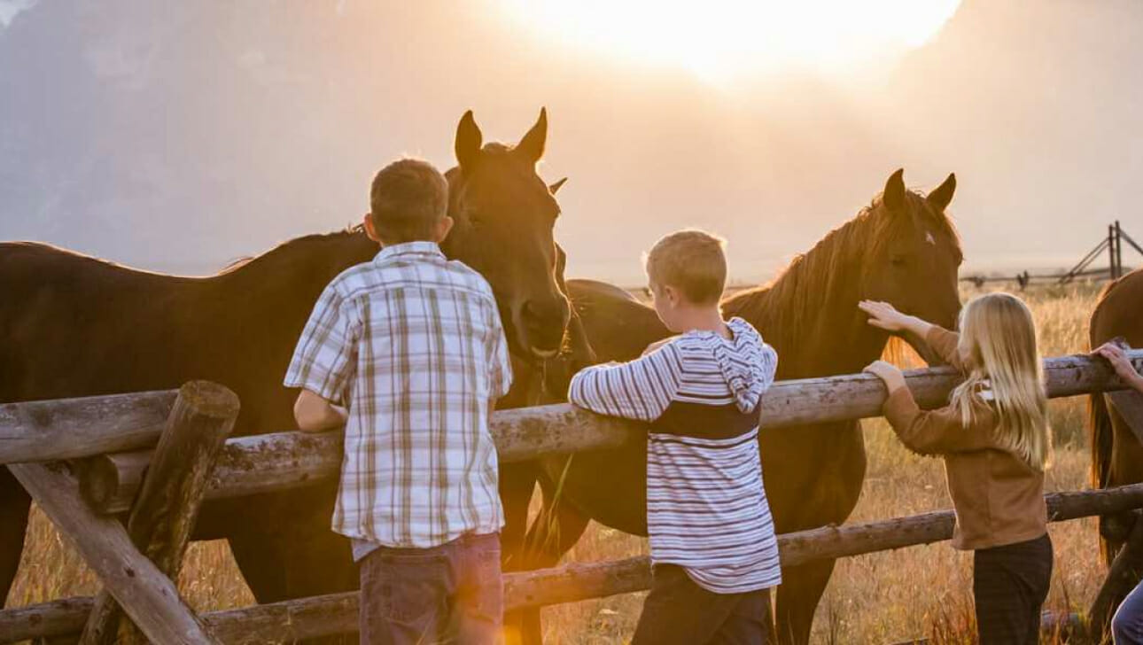Kids petting horses over a fence