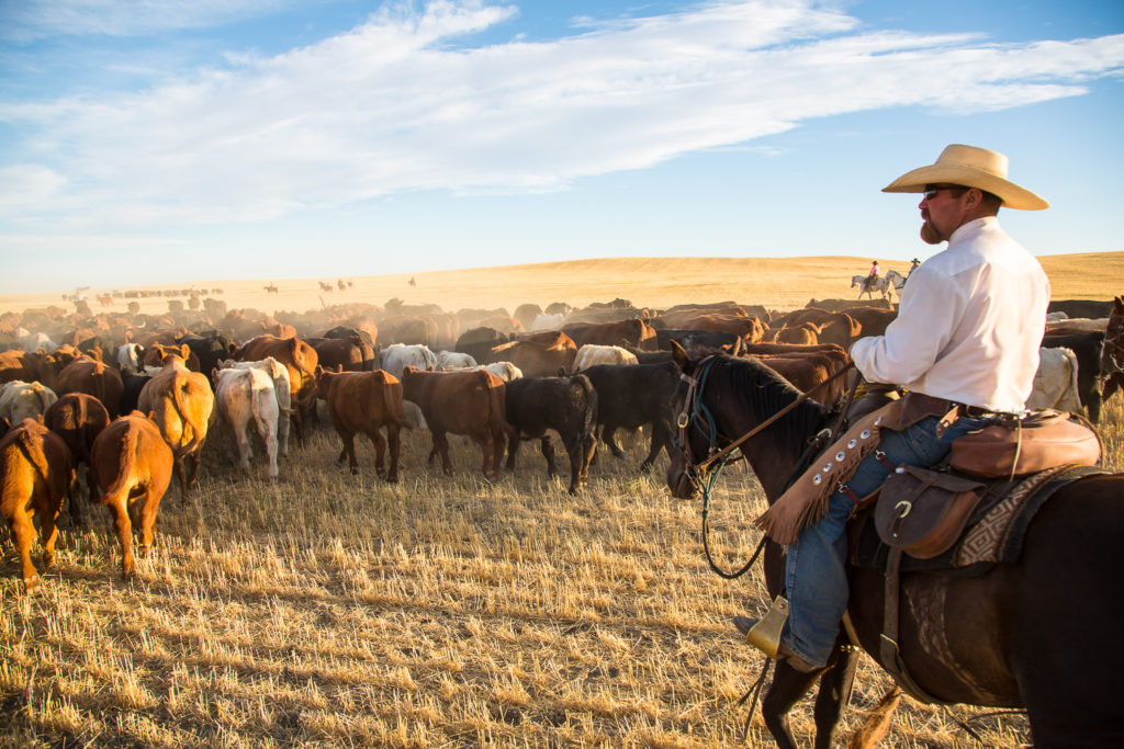 Dude Ranch Deals - The Dude Ranchers Association