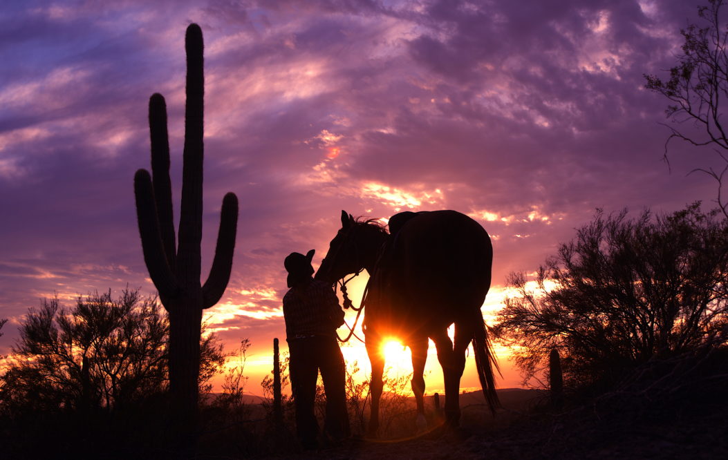 Kay El Bar cowboy and horse at sunset