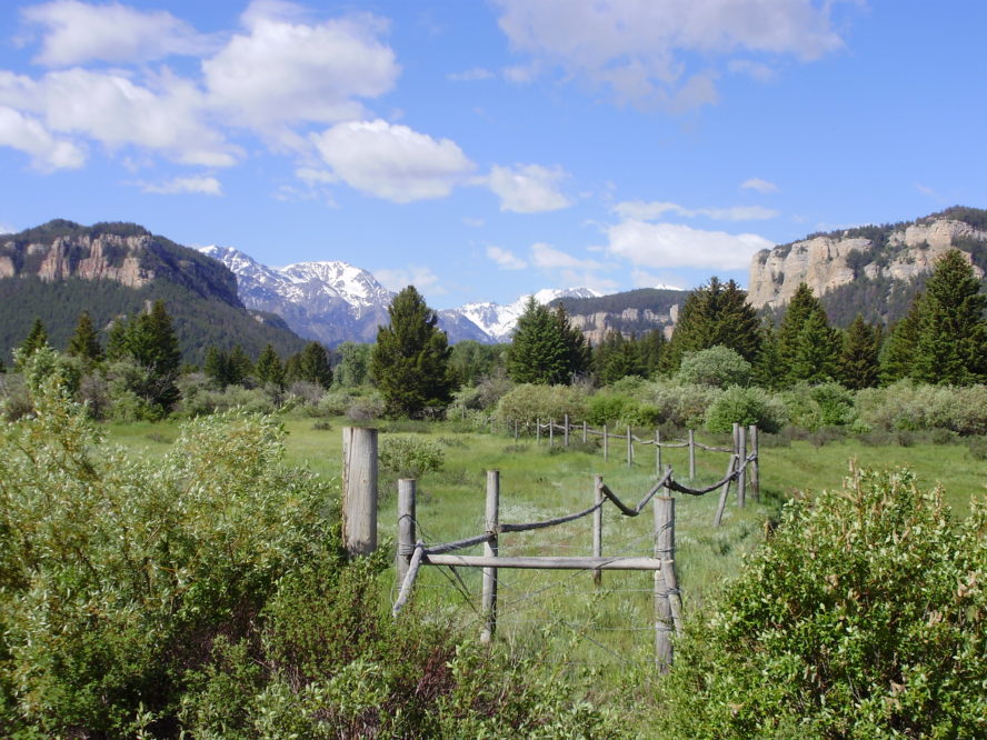 Green field with fence and snowy mountain range in the background