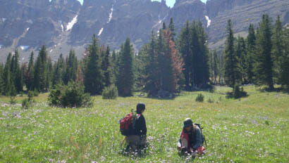 Couple hiking and looking at wild flowers at Absaroka Ranch