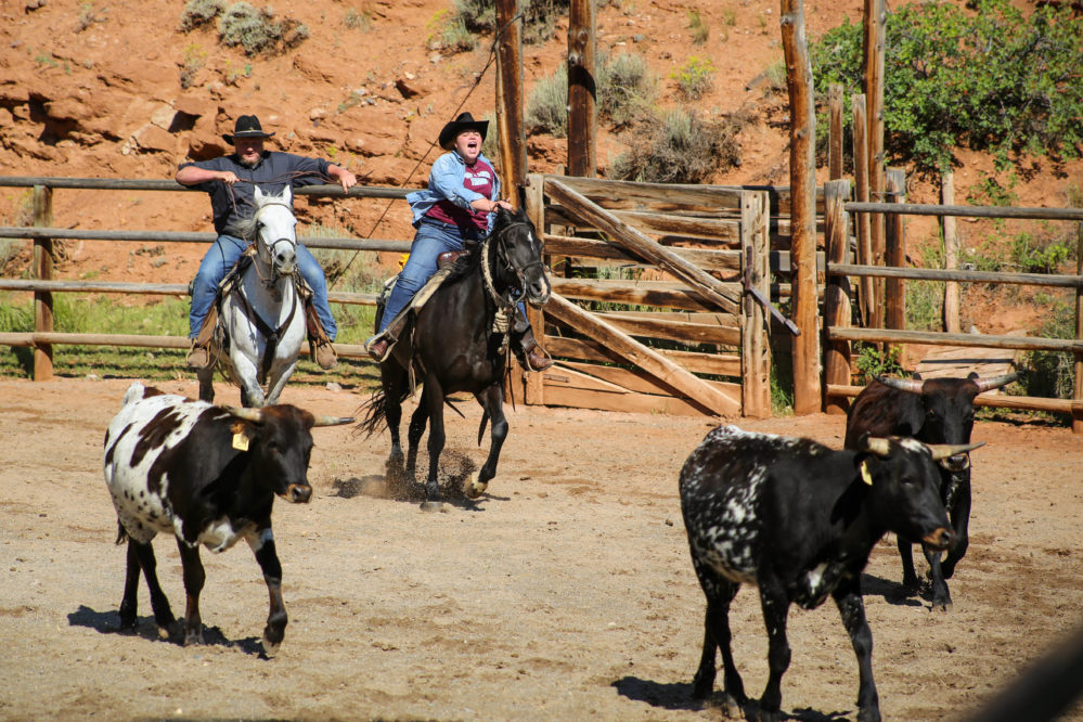 two riders in an arena chasing cattle