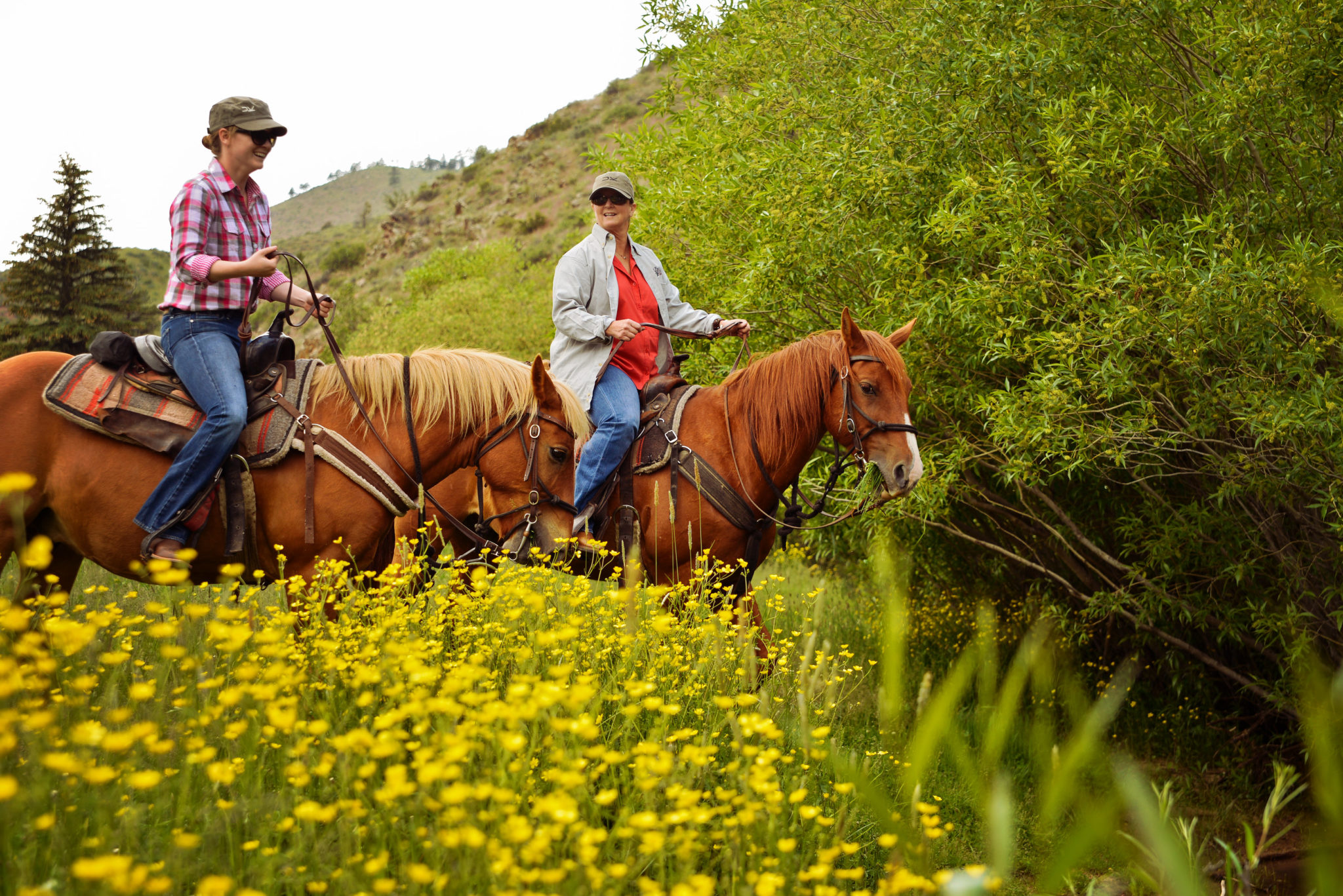 Cherokee Park Ranch The Dude Ranchers Association