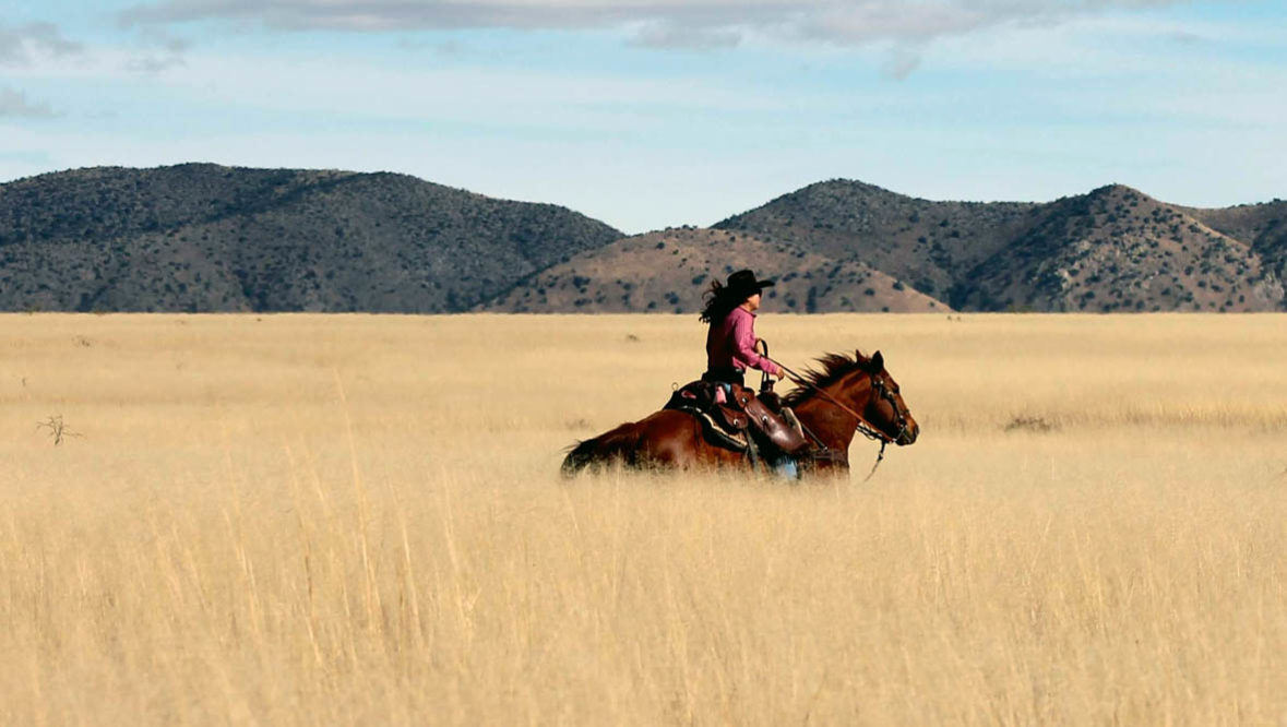Cowgirl riding in a field at Circle Z Ranch