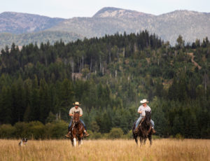 Western Pleasure Guest Ranch two cowboys riding in a field