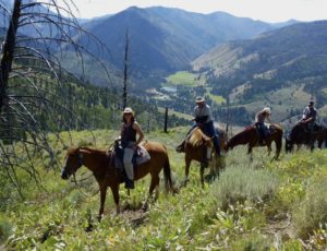 trail ride with horses and mountains