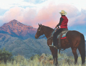 Cowgirl watching the sunrise at Elkhorn Lodge Arizona