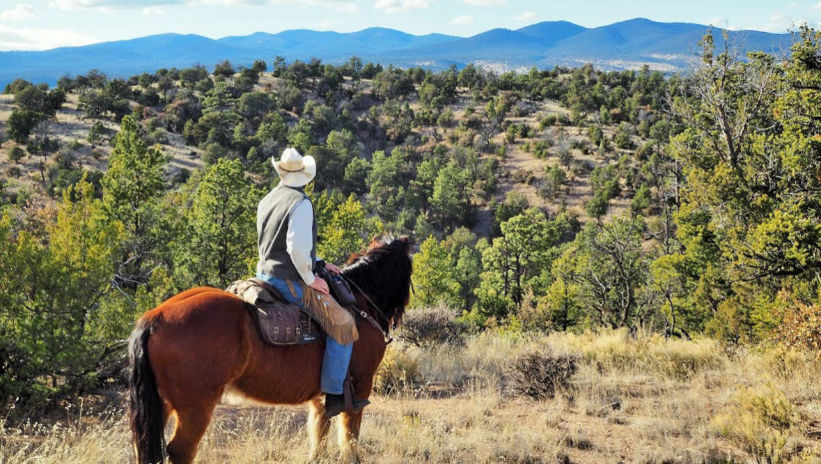Cowboy looking at the view at Geronimo Ranch