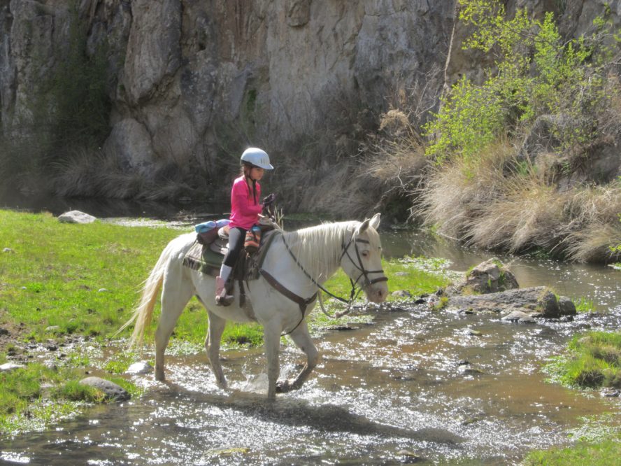 little girl on pony cross water
