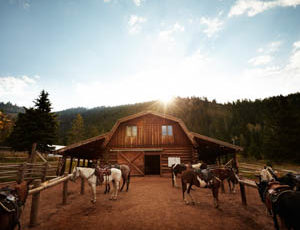 Horses outside of a barn at Gros Ventre River Ranch