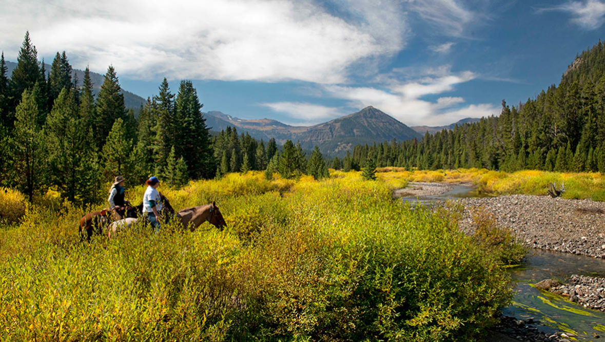 Creek trail ride at Hawley Mountain Guest Ranch