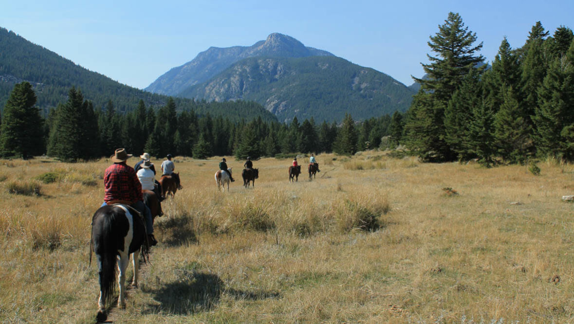 Family reunions trail ride at Hawley Mountain Guest Ranch
