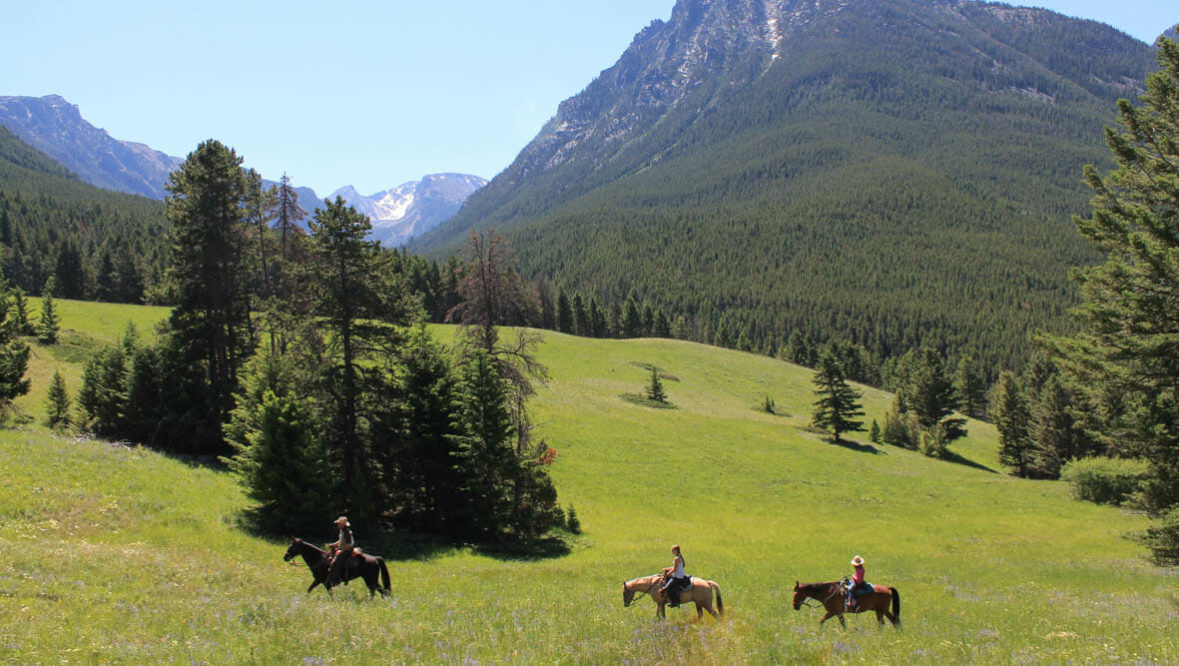 Trail ride with a view at Hawley Mountain Guest Ranch