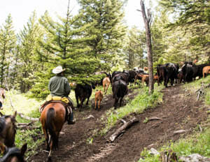 Hubbard's Six Quarter Circle Ranch - The Dude Ranchers Association