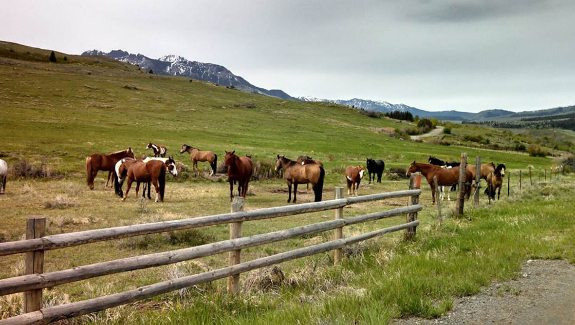 Hubbard's Six Quarter Circle Ranch - The Dude Ranchers Association