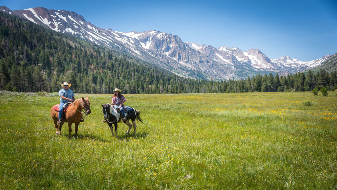 Hunewill Ranch two people riding in a meadow with big mountains