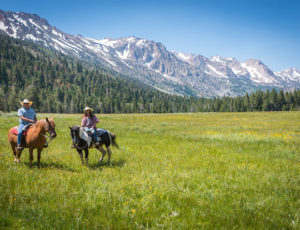 Hunewill Ranch two people riding in a meadow with big mountains