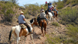 Trail ride at Kay El Bar