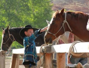 kid petting horse at rail