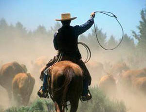 Cowboy roping at Long Hollow Ranch