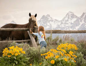 Young girl amongst wildflowers petting a horse through a fence at Lost Creek Ranch