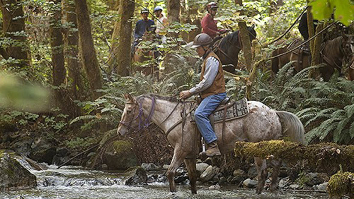 Rider with helmet crossing a creek at Marble Mountain Ranch