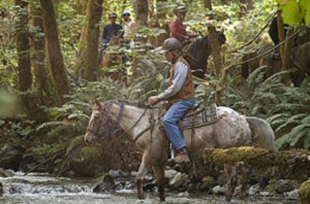 Rider with helmet crossing a creek at Marble Mountain Ranch