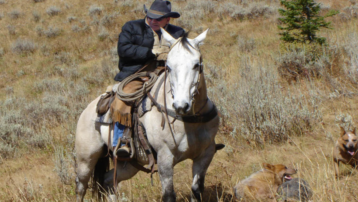 Cowboy on a horse at McGarry Ranch