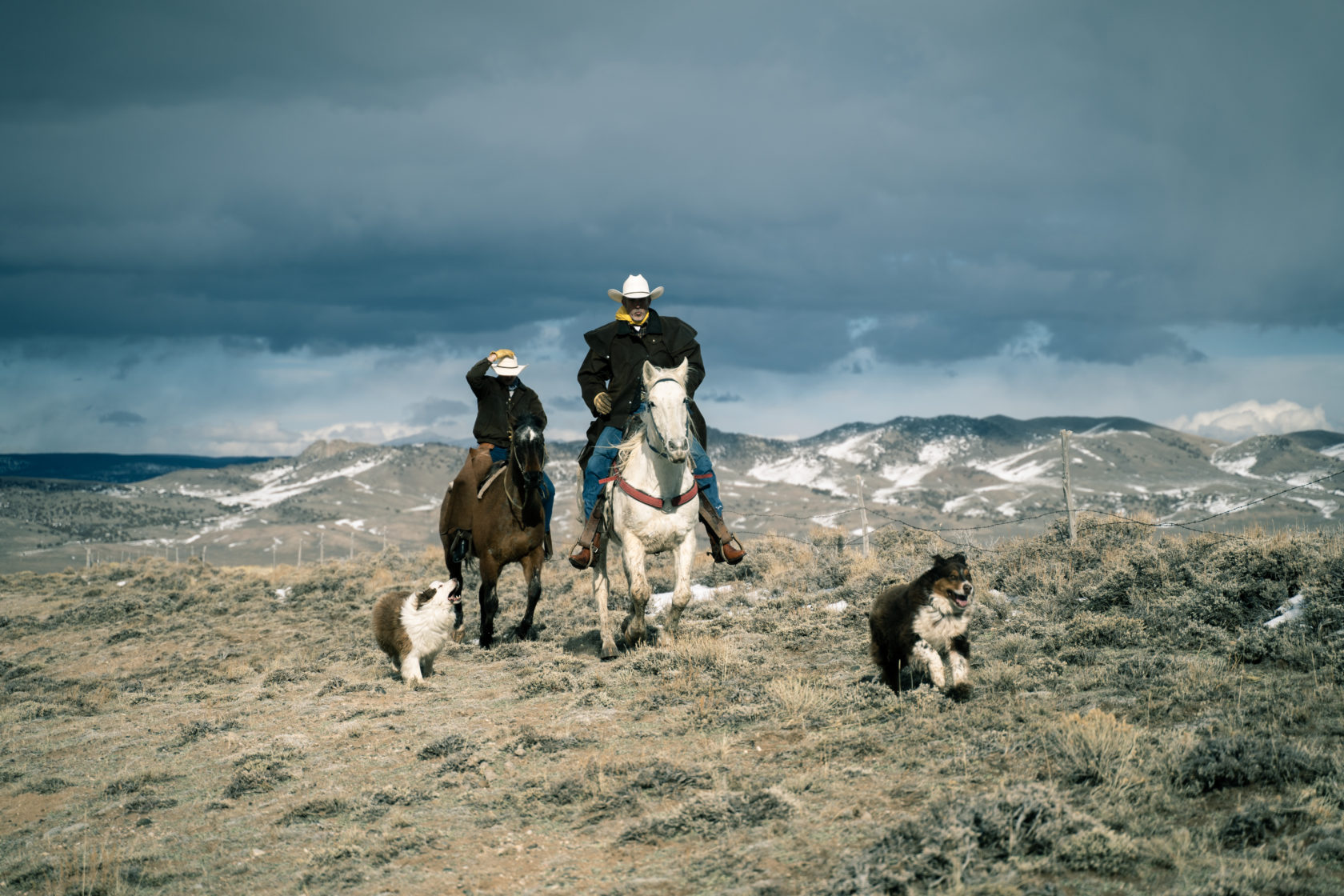 Medicine Bow Lodge and Adventure Guest Ranch The Dude Ranchers