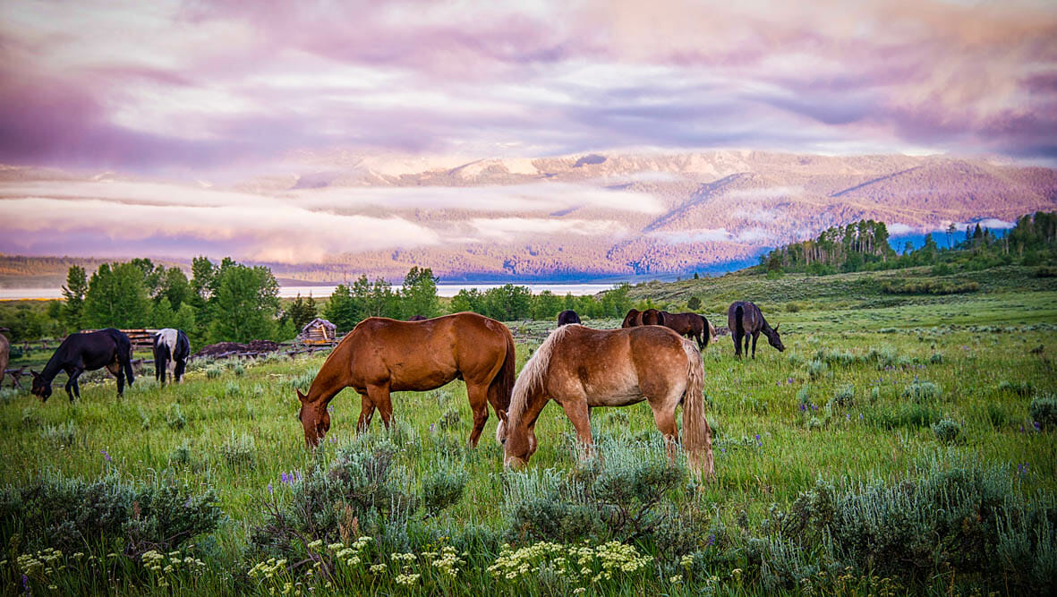 Parade Rest Ranch - The Dude Ranchers Association