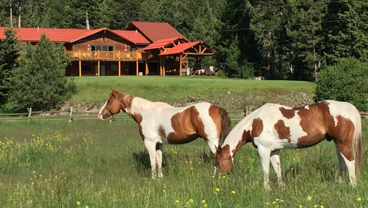 Horses grazing in front of a cabin at Rich's Montana Guest Ranch