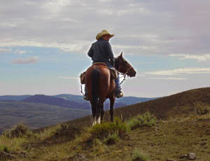 Teenager on a horse looking at an amazing view at Rimrock Dude Ranch