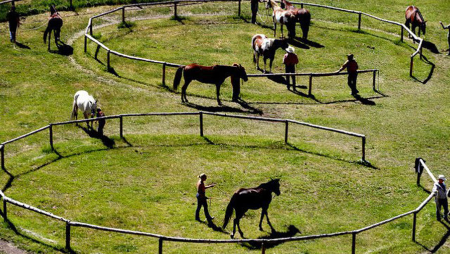 Rocking Z Guest Ranch The Dude Ranchers Association