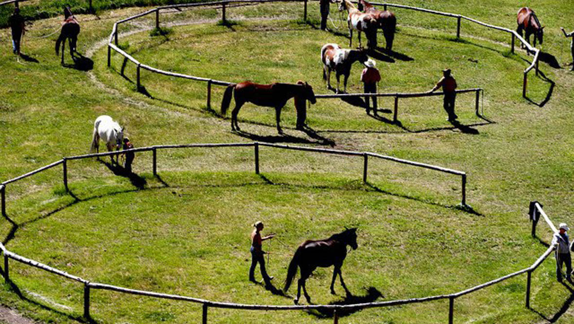 Rocking Z Guest Ranch The Dude Ranchers Association