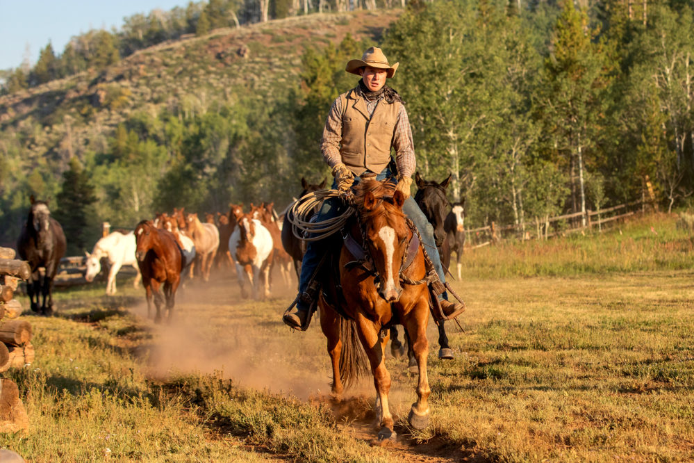 Rider leading horses at Latigo Ranch