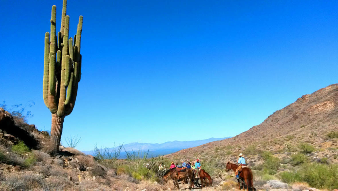 Cactus on a trail ride at Stagecoach Trails Guest Ranch