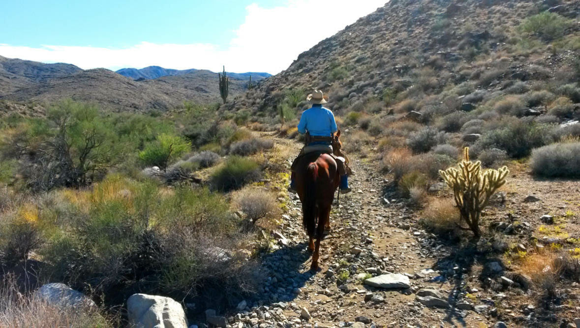 Person riding a horse on a trail at Stagecoach Trails Guest Ranch