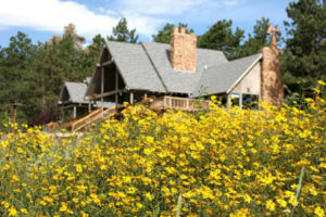 Sundance Trail Ranch cabin amongst yellow wildflowers