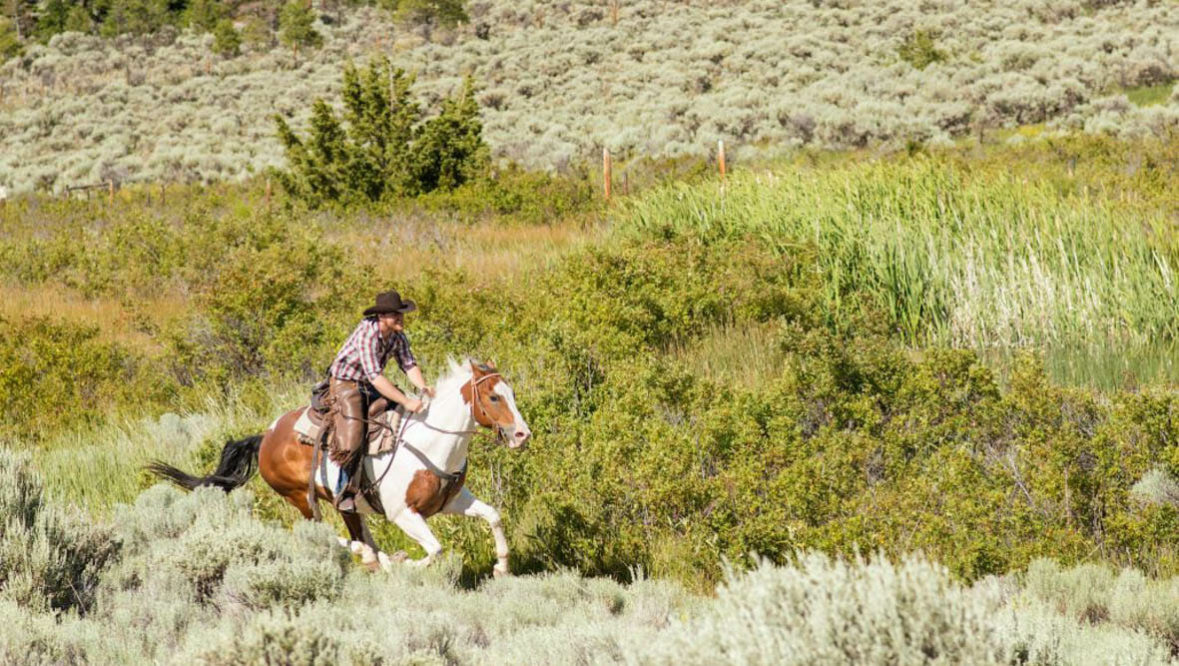 Sundance Guest Ranch single rider galloping
