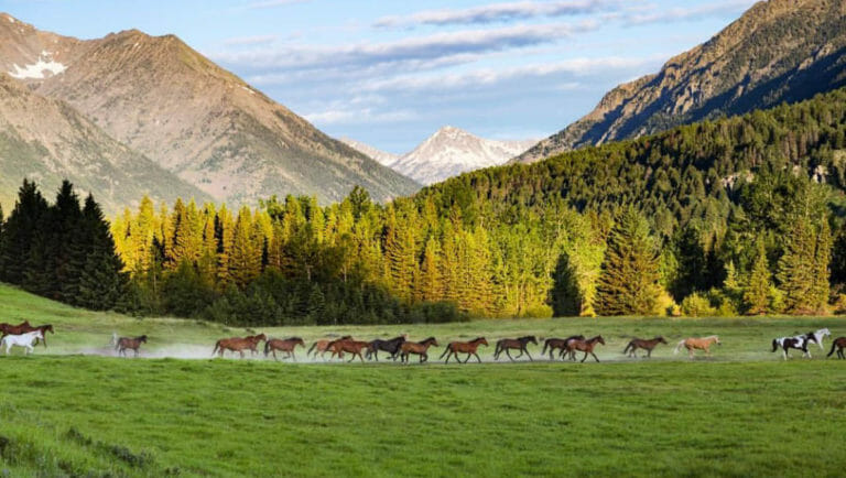 Sweetgrass Ranch Sweet Grass Ranch - The Dude Ranchers Association