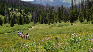 Triangle C ride with wildflowers