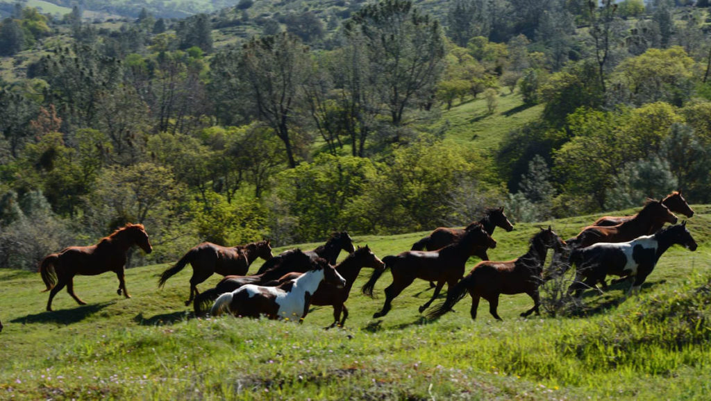 V6 Ranch - The Dude Ranchers Association