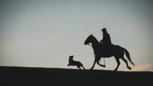 Western pleasure silhouette horse rider and dog at a yellowstone dude ranch