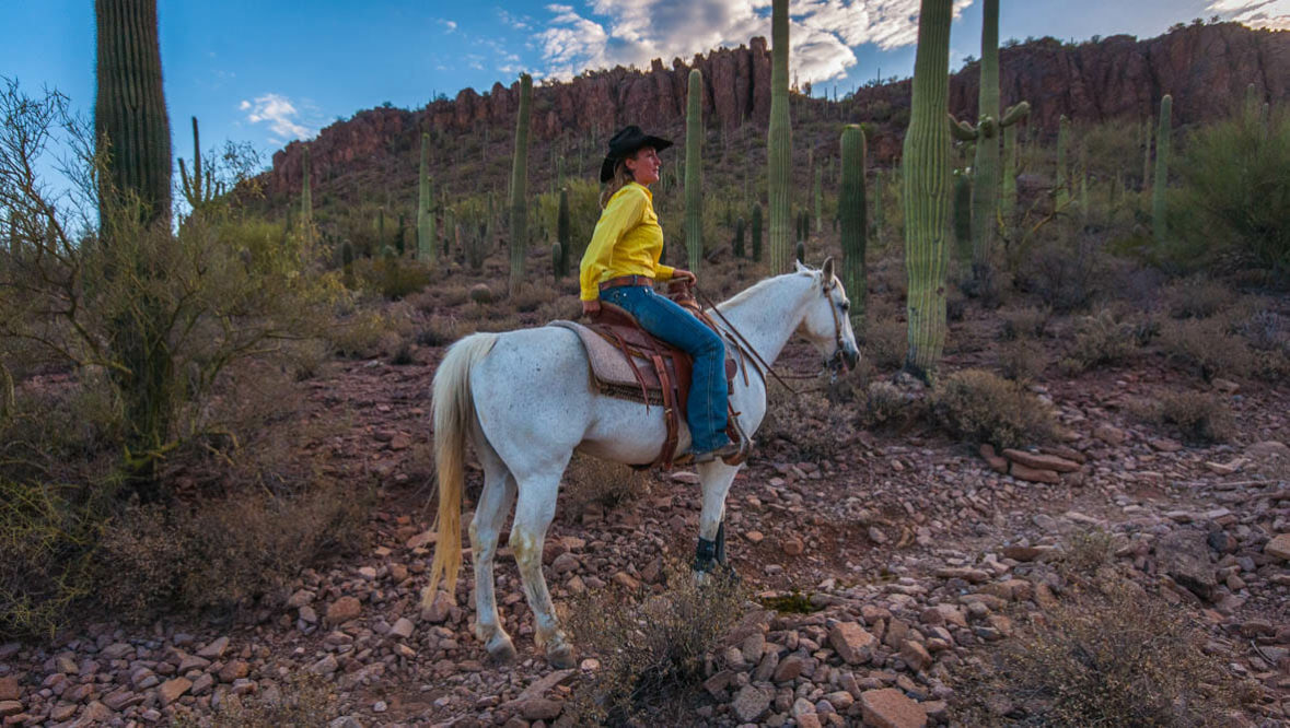 White Stallion cowgirl on a horse