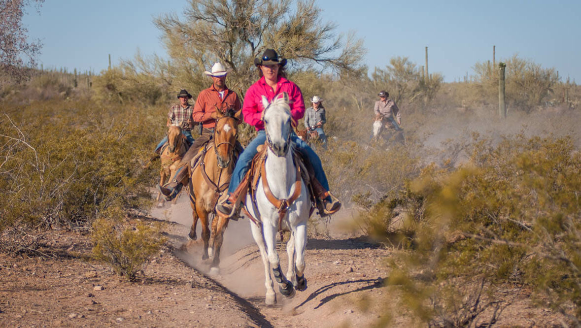White Stallion fast family trail ride