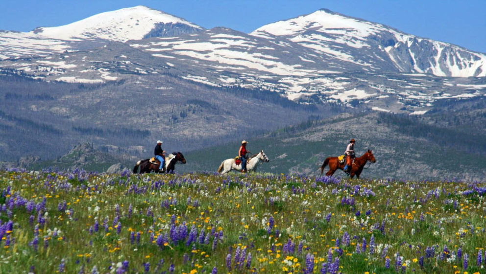 Paradise Guest Ranch - The Dude Ranchers Association