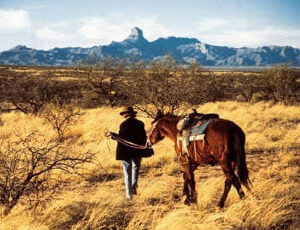 Horse and rider walking in a desert field at Rancho de la Osa