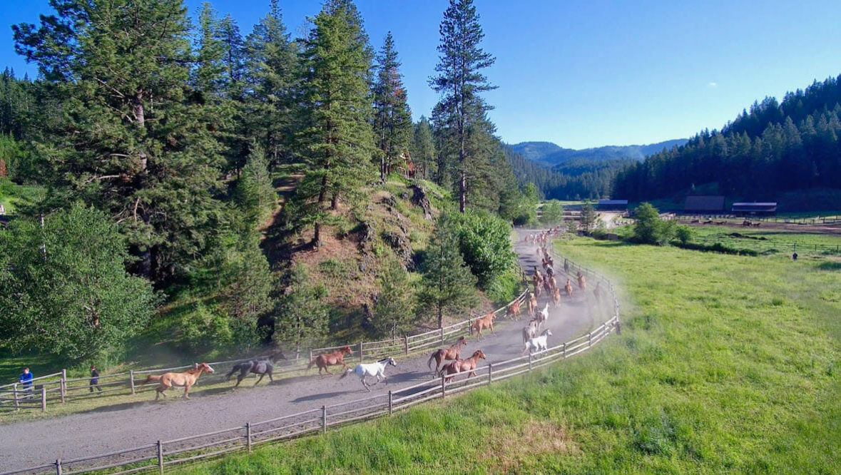 Horse herd running at Red Horse Mountain Ranch