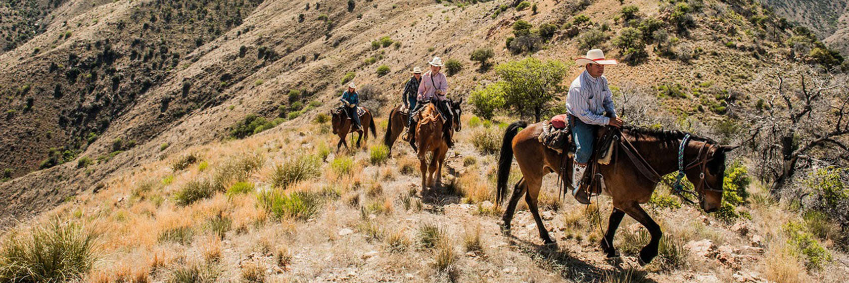 Group of people on a trail ride